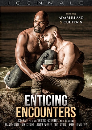 Enticing Encounters (2023)