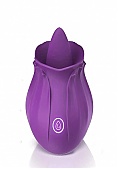 Adult Sex Toy Details